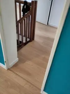 Parquet